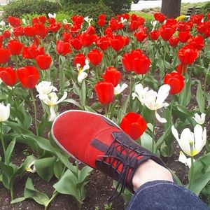 Meet your Posher, Edwin